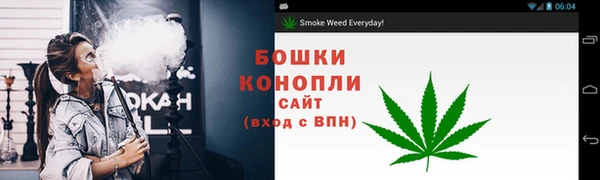 стафф Заводоуковск
