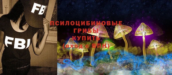 spice Заволжск