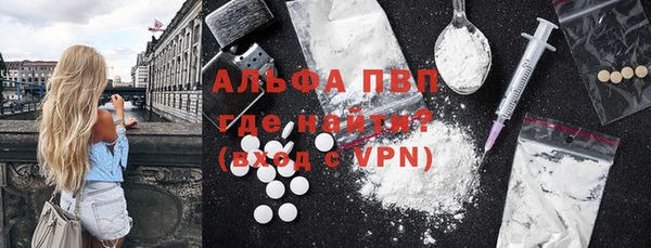 стафф Заводоуковск
