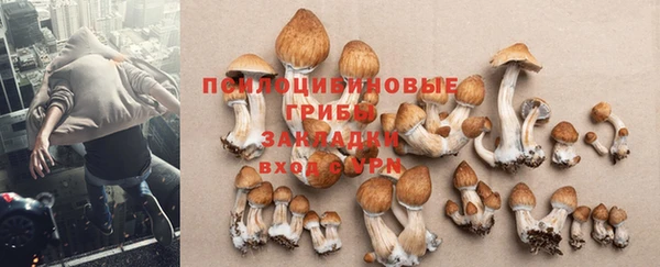 spice Заволжск