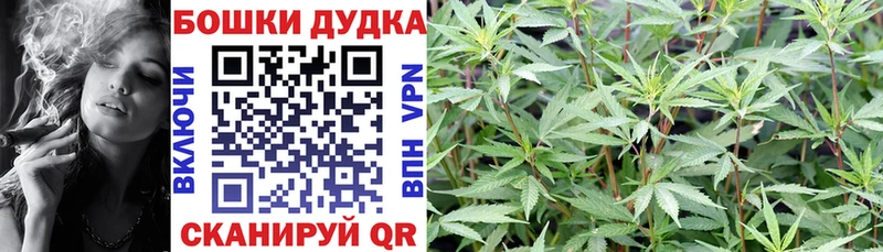 Каннабис планчик  Купить закладки  Инта 